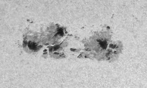 2022年5月18日の黒点（活動領域13014）