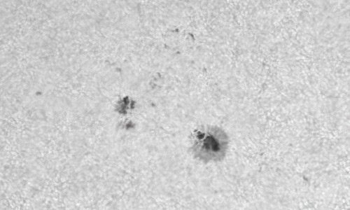 2022年5月18日の黒点（活動領域13015）