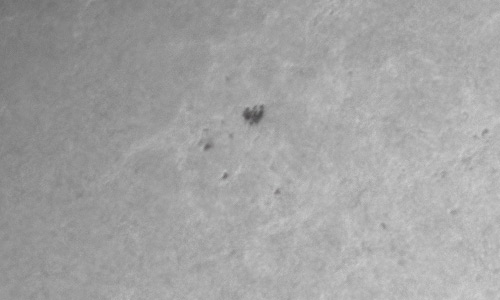 2022年5月18日の黒点（活動領域13017）