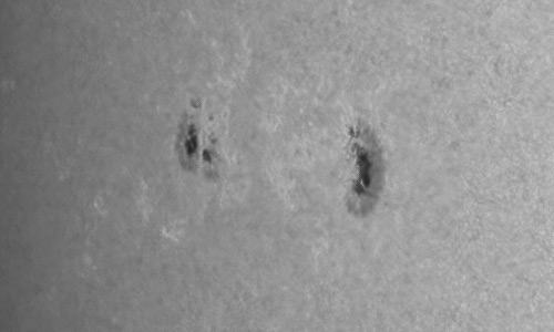 2022年5月18日の黒点（活動領域13016）