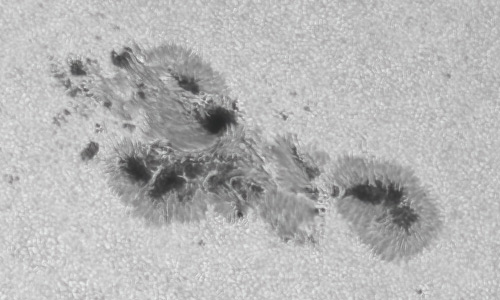 2022年5月21日の黒点（活動領域13014）