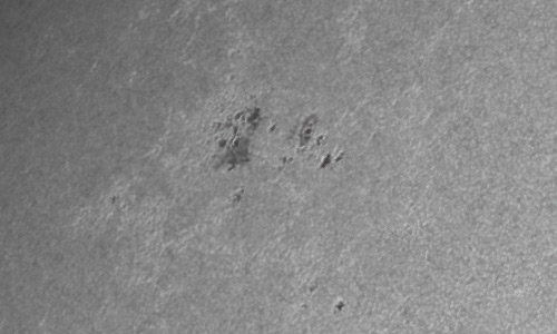 2022年5月21日の黒点（活動領域13019）