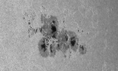 2022年5月24日の黒点（活動領域13014）