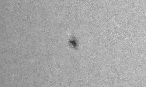 2022年5月24日の黒点（活動領域13020）