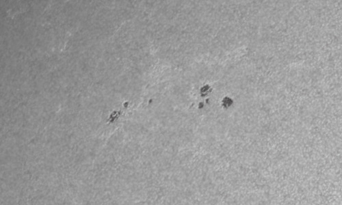 2022年5月24日の黒点（活動領域13021）