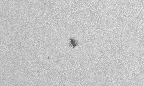 2022年5月26日の黒点（活動領域13020）