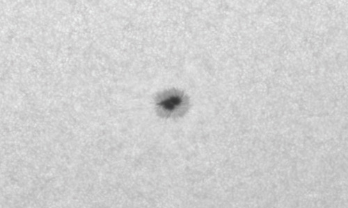 2022年6月2日の黒点（活動領域13024）