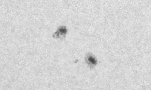 2022年6月2日の黒点（活動領域13027）