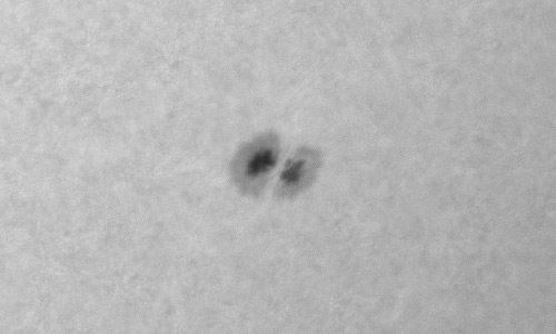 2022年6月3日の黒点（活動領域13023）