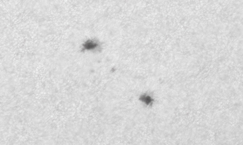 2022年6月3日の黒点（活動領域13027）