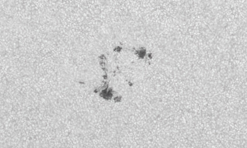 2022年6月9日の黒点（活動領域13029）