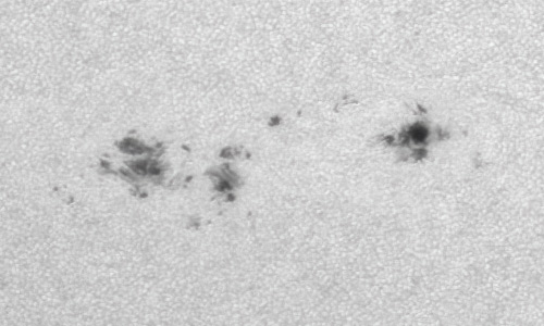 2022年6月14日の黒点（活動領域13031）