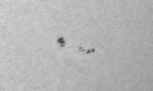 2022年6月14日の黒点（活動領域13036）