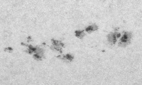 2022年6月15日の黒点（活動領域13031）