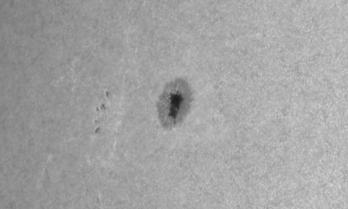 2022年6月15日の黒点（活動領域13034）