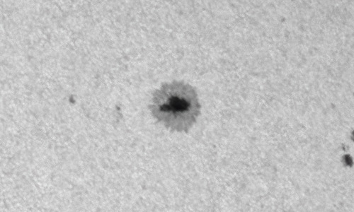 2022年6月18日の黒点（活動領域13032）