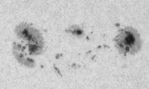 2022年6月21日の黒点（活動領域13038）