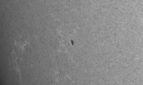 2022年7月3日の黒点（活動領域13049）