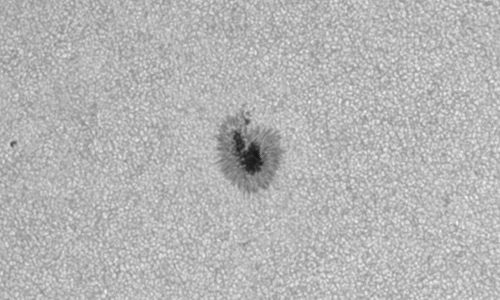 2022年7月5日の黒点（活動領域13046）