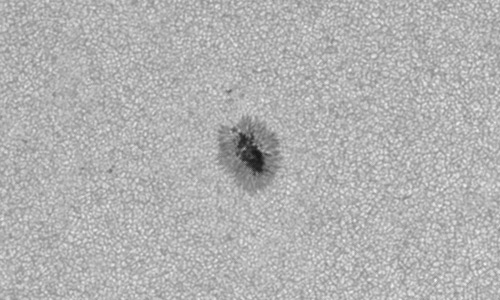 2022年7月6日の黒点（活動領域13046）