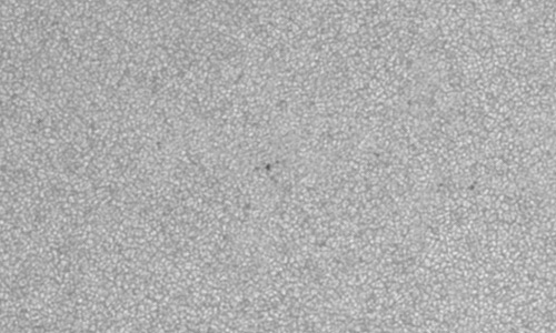 2022年7月6日の黒点（活動領域13050）