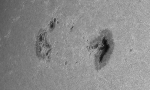 2022年7月7日の黒点（活動領域13053）