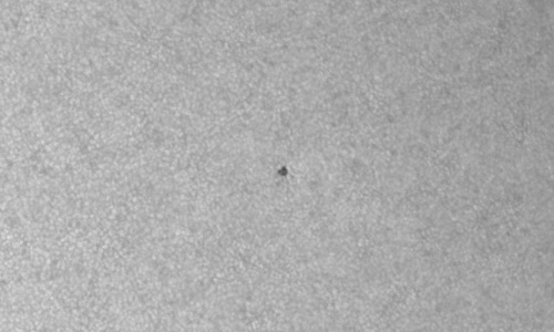 2022年7月8日の黒点（活動領域13054）