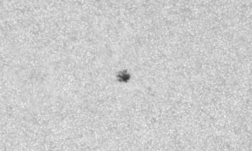 2022年7月10日の黒点（活動領域13052）