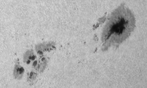 2022年7月15日の黒点（活動領域13055）