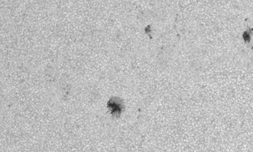 2022年7月19日の黒点（活動領域13060）