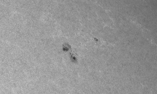 2022年7月19日の黒点（活動領域13061）