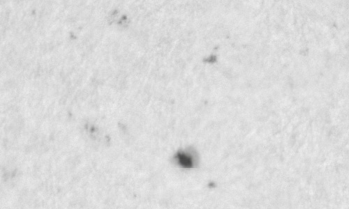 2022年7月20日の黒点（活動領域13060）