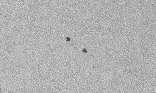 2022年7月21日の黒点（活動領域13058）