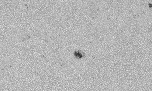 2022年7月21日の黒点（活動領域13060）