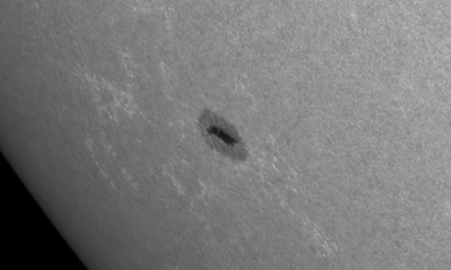 2022年7月21日の黒点（活動領域13062）