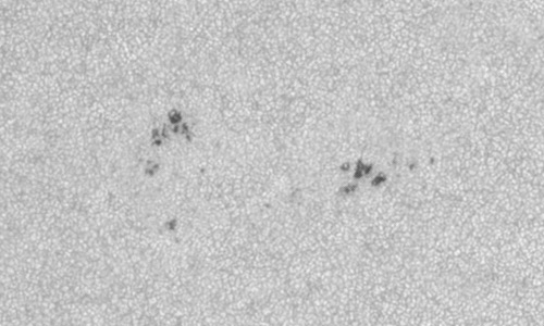 2022年7月21日の黒点（活動領域13063）