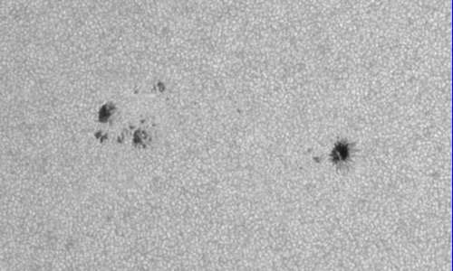 2022年7月21日の黒点（活動領域13064）