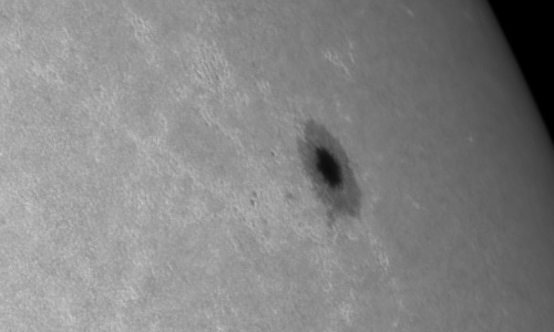 2022年7月22日の黒点（活動領域13057）