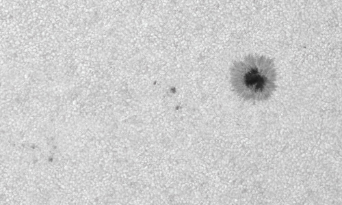 2022年7月22日の黒点（活動領域13059）