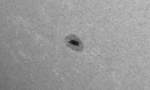 2022年7月22日の黒点（活動領域13062）