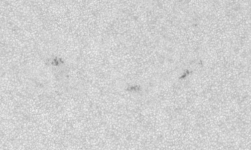 2022年7月22日の黒点（活動領域13063）