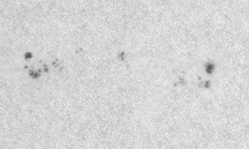 2022年7月22日の黒点（活動領域13064）