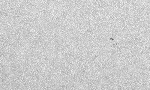 2022年7月22日の黒点（活動領域13065）