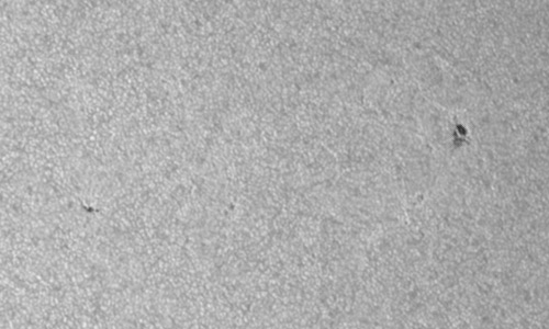 2022年7月26日の黒点（活動領域13064）