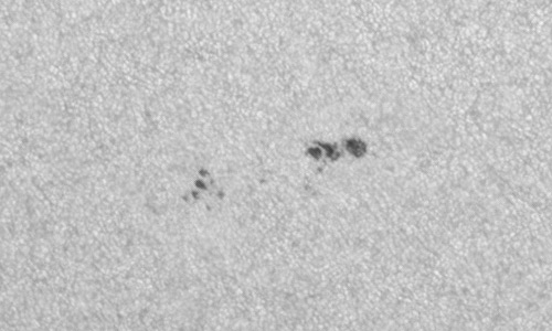 2022年7月26日の黒点（活動領域13066）