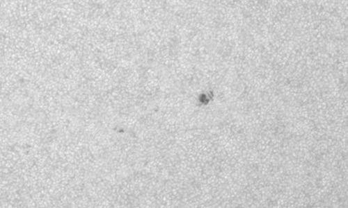 2022年7月28日の黒点（活動領域13066）