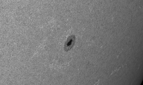 2022年7月30日の黒点（活動領域13062）