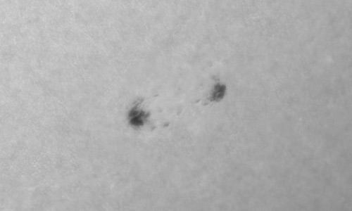 2022年8月5日の黒点（活動領域13073）