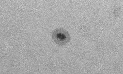 2022年8月7日の黒点（活動領域13071）