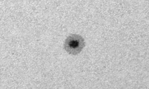 2022年8月9日の黒点（活動領域13071）